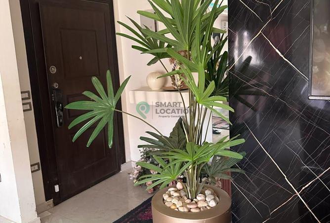 8163730 - صورة العقار 3