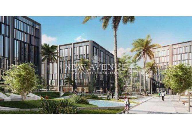 8206769 - Property Image 3