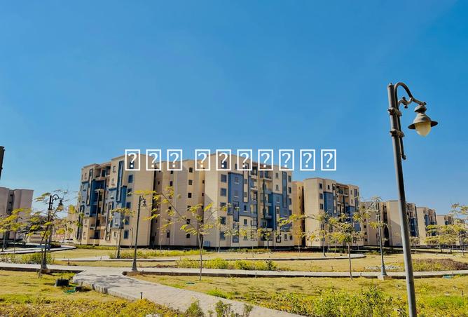 8148477 - الصورة الرئيسية للعقار