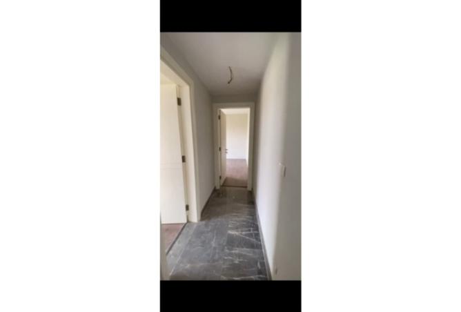 8219080 - Property Image 3