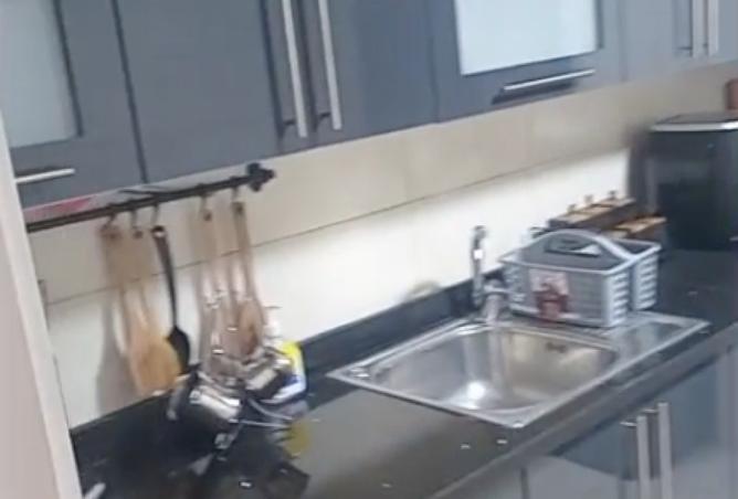 8356359 - صورة العقار 3