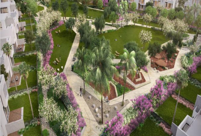 8376041 - Property Image 3