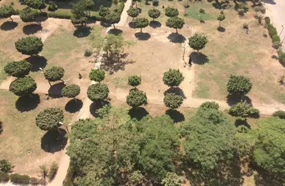 Apartment - 3 Bedrooms - 2 Bathrooms for sale in Hassan Abd Al Aziz St. - 9th Zone - Nasr City - Cairo