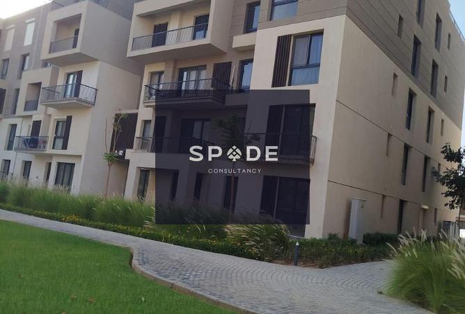 8186155 - Property Image 3