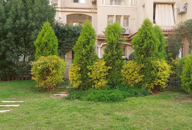 8280887 - الصورة الرئيسية للعقار