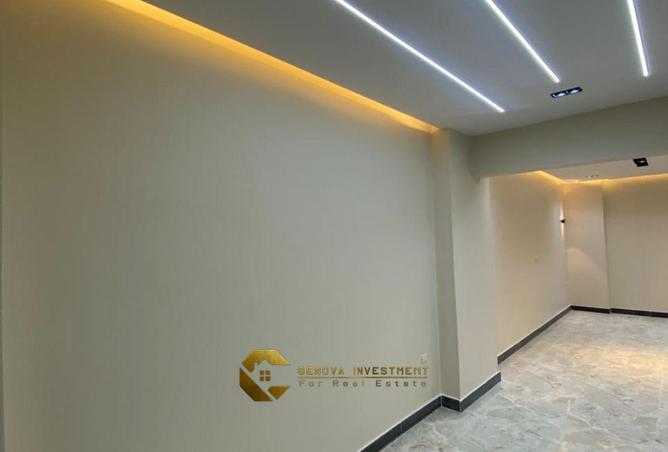 8384002 - صورة العقار 3