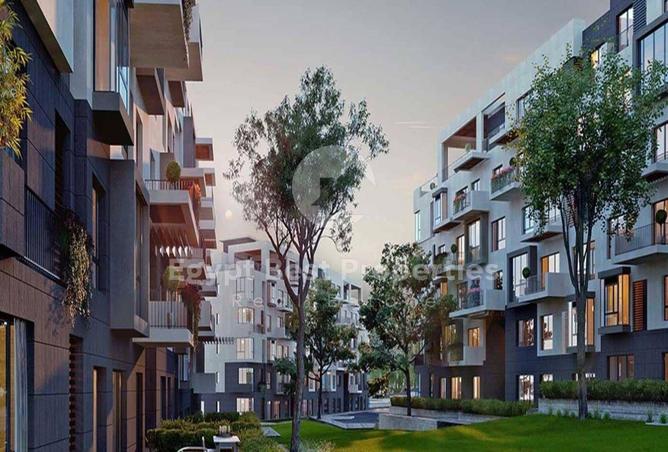 8131534 - Property Image 3