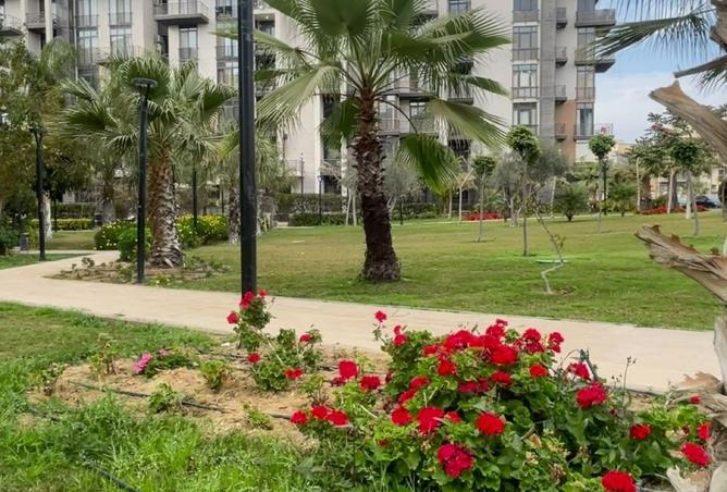 8137744 - Property Image 3