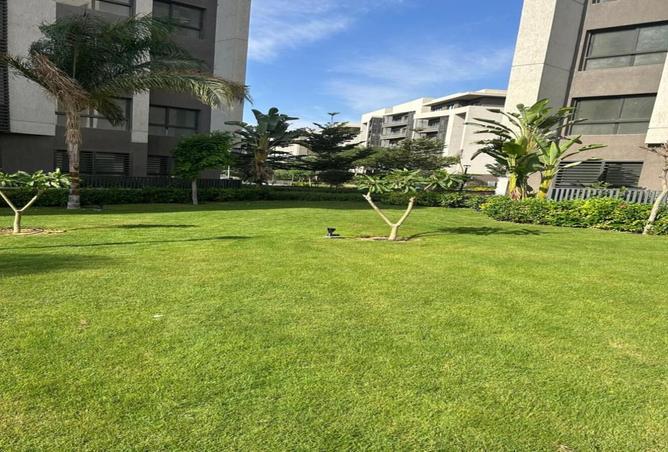 8268494 - Property Image 3