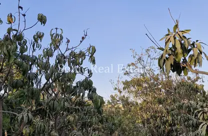 Farm - Studio for sale in Gamaiet Ahmed Orabi - Obour City - Qalyubia