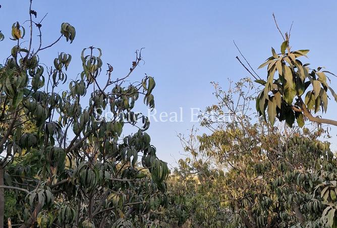 8374556 - Property Main Image