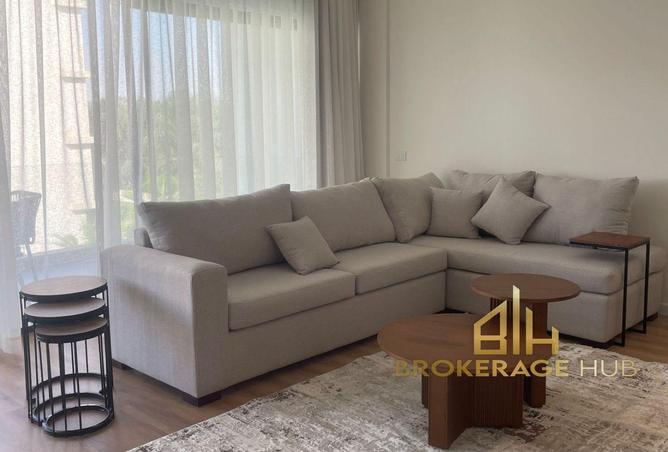 8066651 - Property Image 3