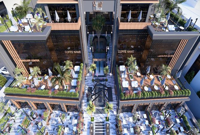 8479560 - Property Image 3