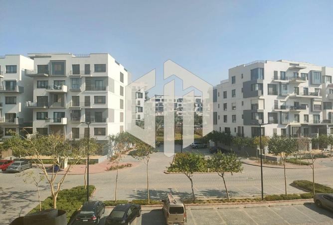 8371962 - Property Image 3