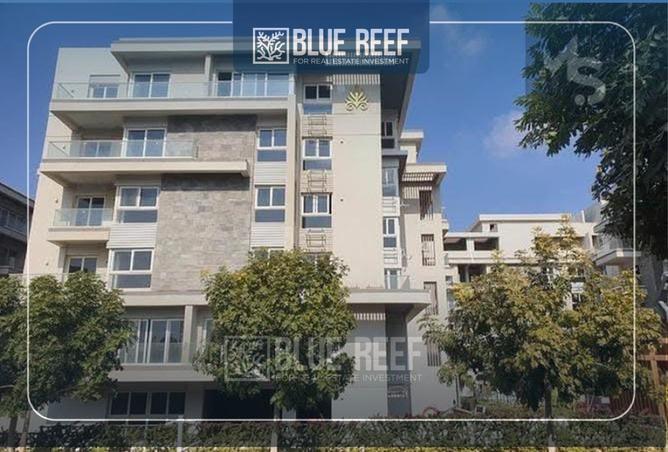 8496740 - Property Image 3