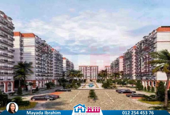7913858 - Property Image 2