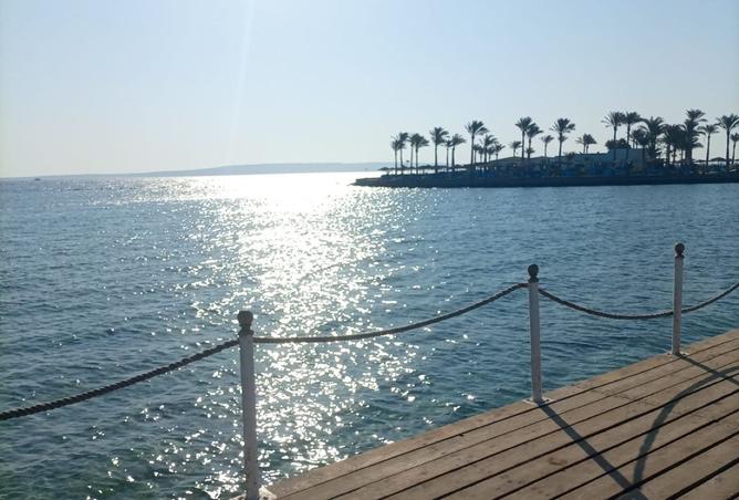 8105664 - صورة العقار 3