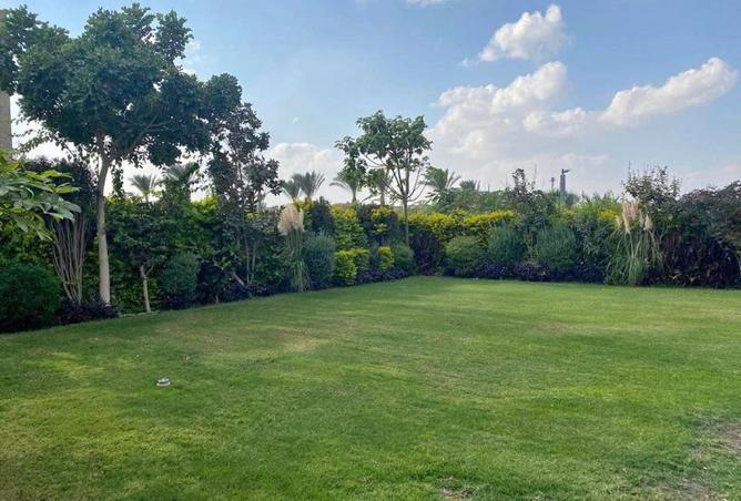 7953477 - صورة العقار 2