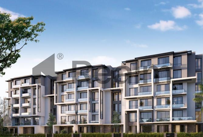 8092298 - Property Image 3