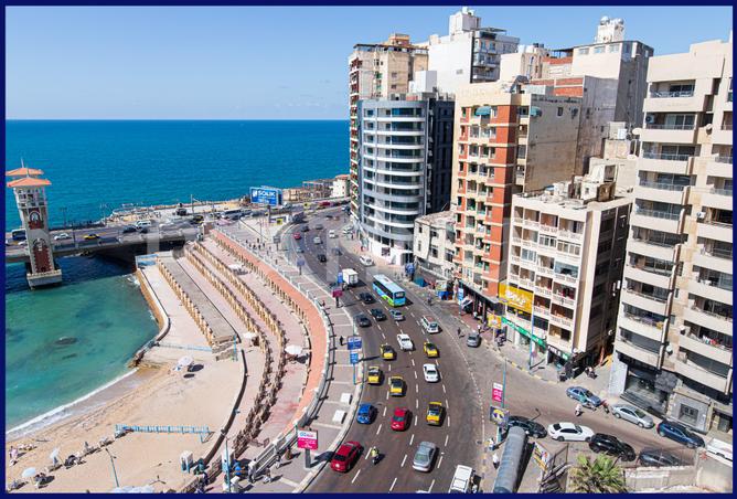 7974542 - صورة العقار 3
