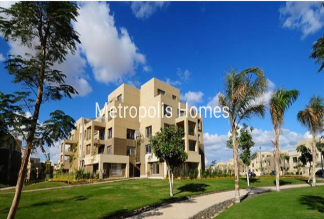 8207578 - الصورة الرئيسية للعقار