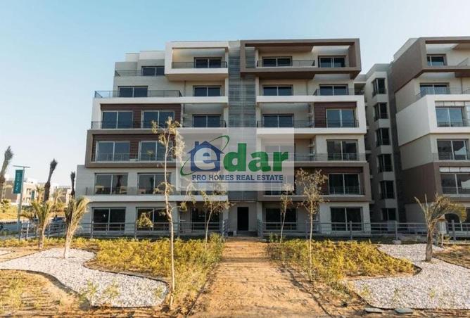 8281707 - Property Image 3