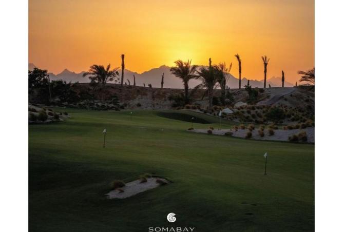 8404201 - صورة العقار 3