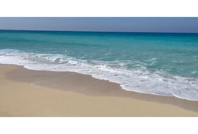 8419955 - صورة العقار 3