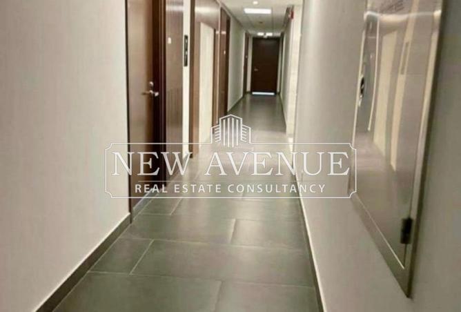 7952350 - Property Image 3