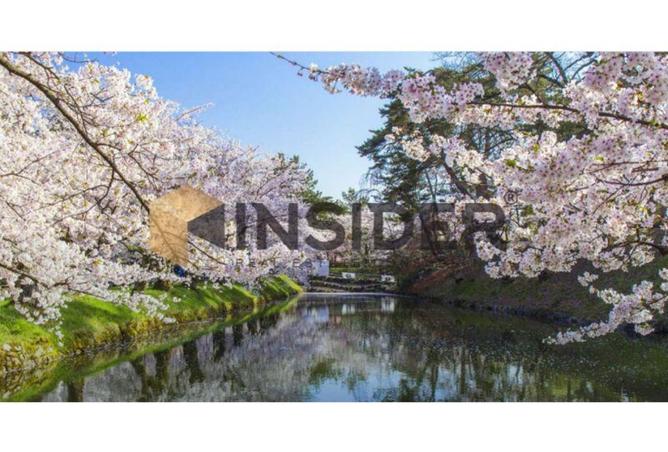 8545609 - الصورة الرئيسية للعقار