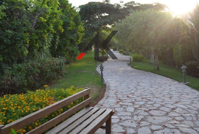 8230100 - Property Image 3