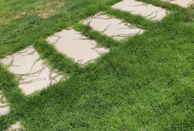 8289189 - صورة العقار 2