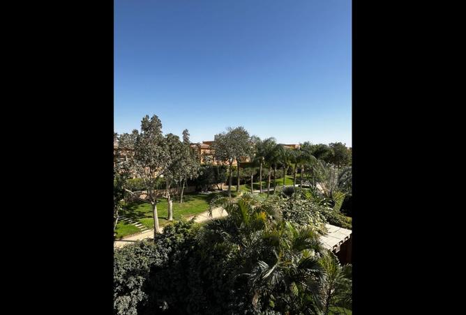 8145219 - صورة العقار 3