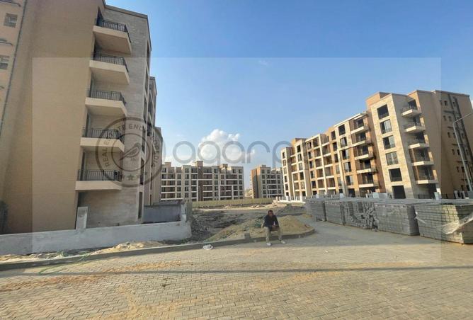 8195038 - Property Image 3