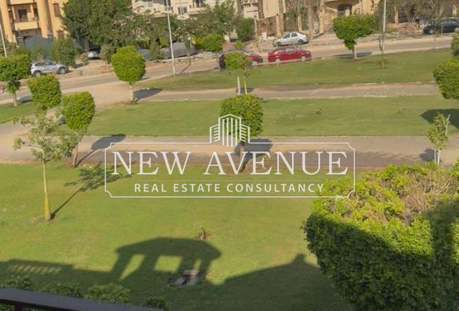 8151312 - Property Image 3