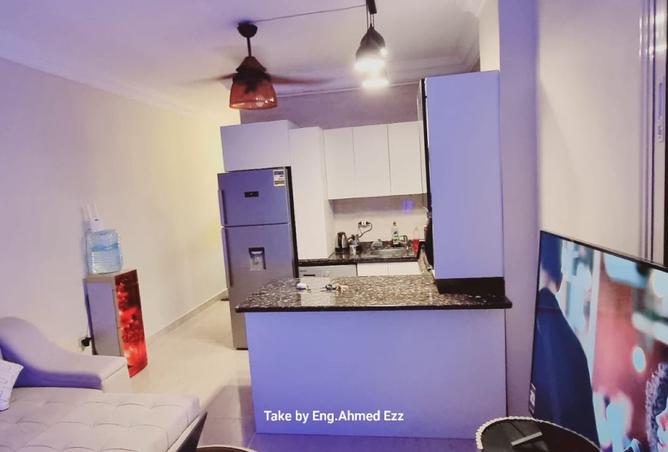 7914333 - Property Image 3