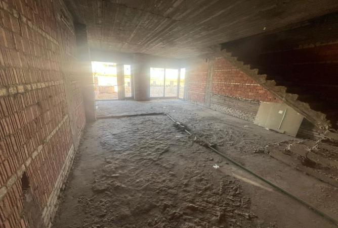 8204957 - Property Image 3