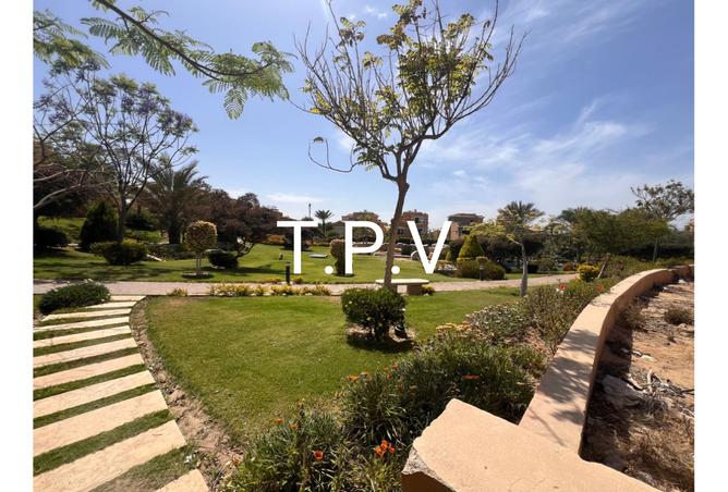 8303133 - صورة العقار 3