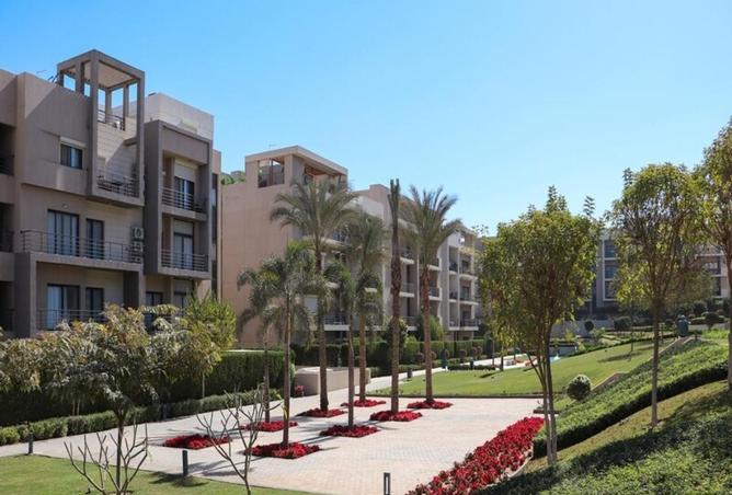8138931 - صورة العقار 2