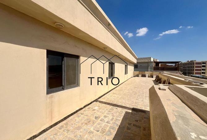 8480020 - صورة العقار 2