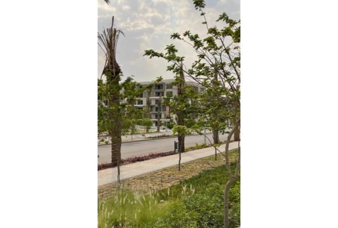 8227630 - صورة العقار 3