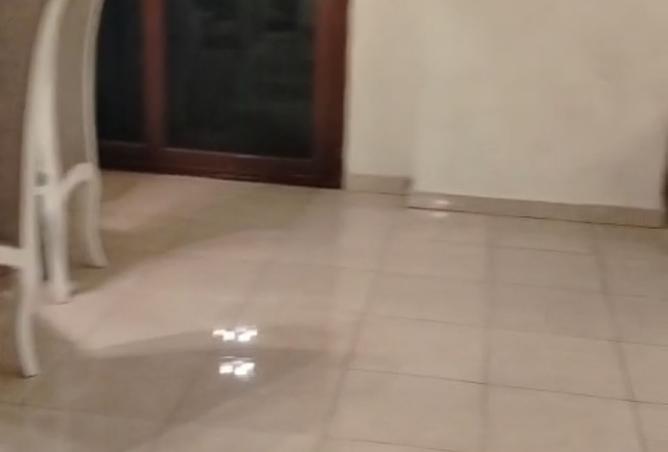 8470947 - صورة العقار 2