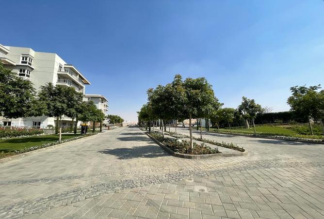 7969474 - صورة العقار 3