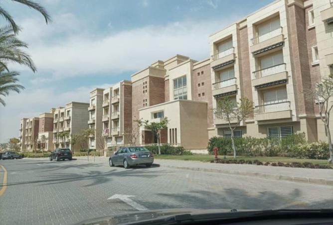 8097603 - Property Image 3