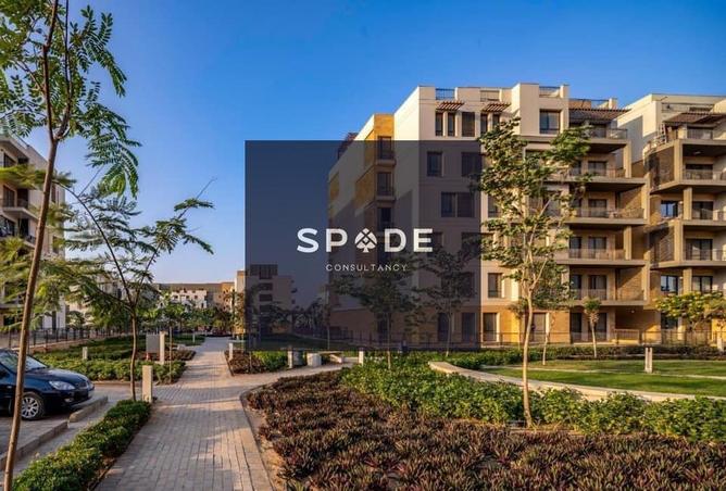 8305745 - Property Image 3