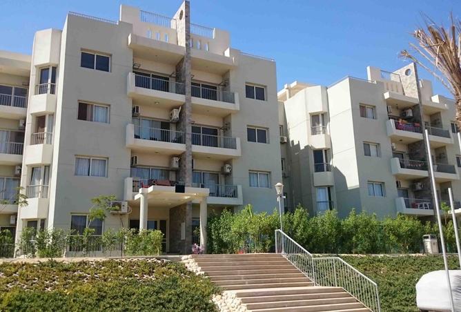 8235293 - Property Image 3