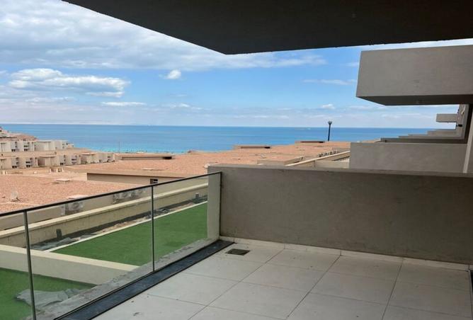 8396525 - Property Image 3