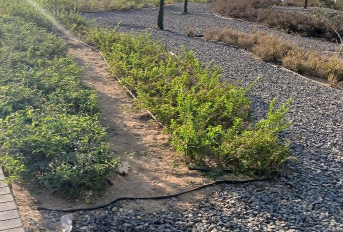 8162323 - Property Image 2