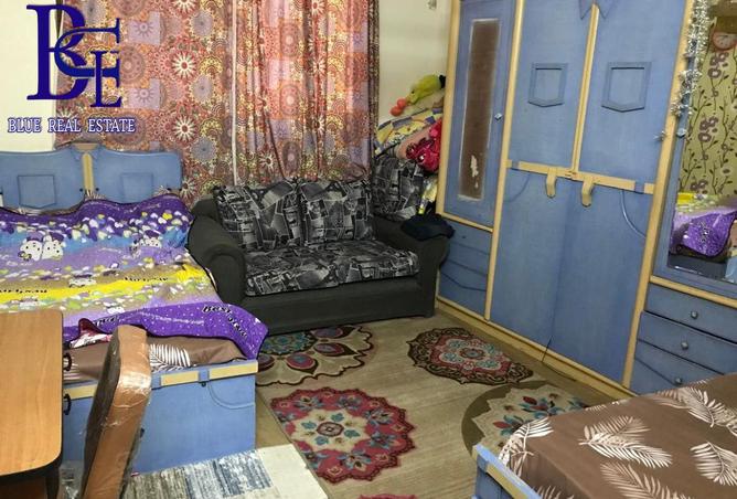 8120975 - Property Image 3