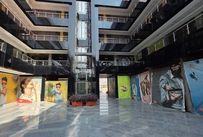 8425633 - Property Image 2